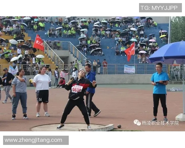 北京排球队的拼搏之路与城市联赛的荣耀时刻 北京排球队的拼搏之路与城市联赛的荣耀时刻