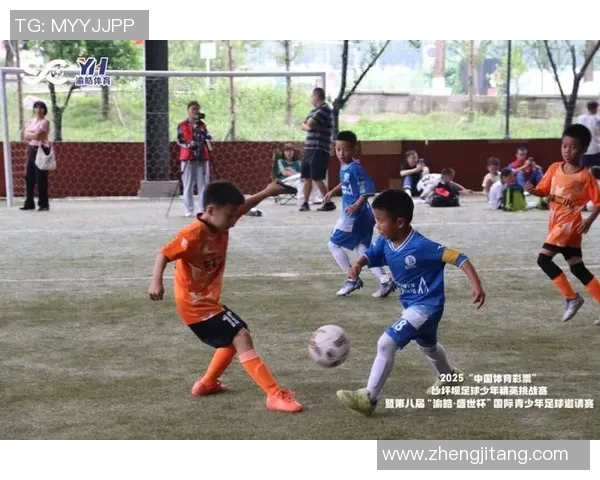 足球明星齐聚花溪共庆盛典展现足球魅力与地方风情