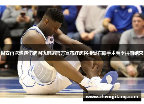 锡安再次遭遇伤病困扰鹈鹕官方宣布胖虎将接受右膝手术赛季提前结束